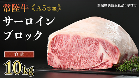 【 常陸牛 】 A5等級 サーロイン ブロック 選べる容量 10kg (茨城県共通返礼品) 国産 ステーキ 焼き肉 ブロック肉 牛肉 やきにく ヒタチギュウ ひたちぎゅう ブランド牛肉 ブランド牛 国産牛 黒毛和牛 和牛 国産黒毛和牛 お肉 A5ランク