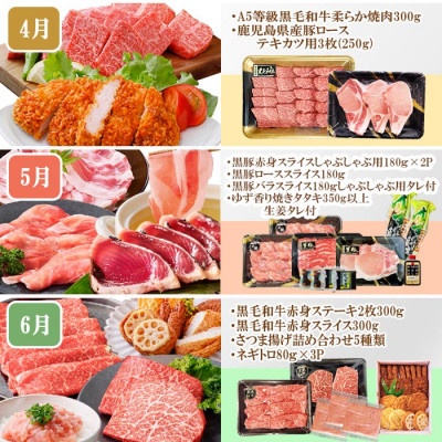 定期便(10回)枕崎お楽しみ便(A5等級黒毛和牛・黒豚・まぐろ・かつお・さつまあげ等)II-0025