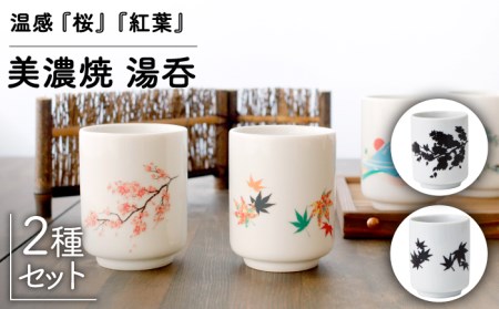 【美濃焼】 温度で変化する 湯呑 (2個)  『桜』 『紅葉』 【丸モ高木陶器】 [TBA117]