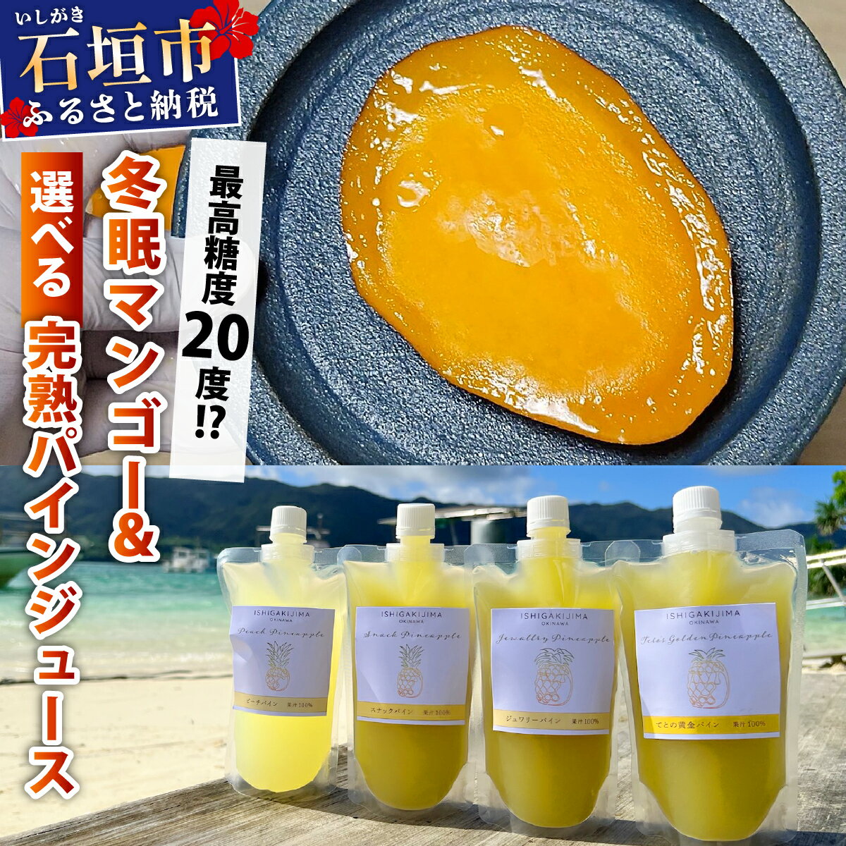 【ふるさと納税】《8月以降順次発送》最高糖度20度！？冬眠マンゴーと完熟パインジュース｜沖縄 石垣 フルーツ マンゴー パイン ジュース｜ TF-53~TF-57