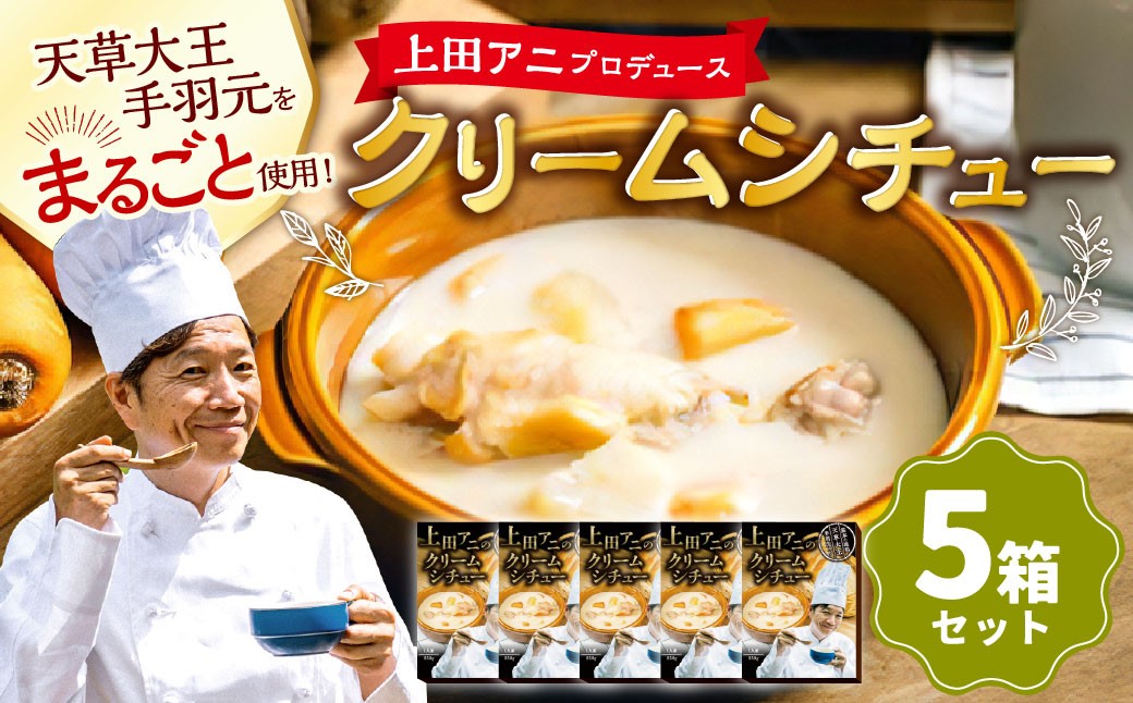 
            上田アニのクリームシチュー5箱セット	250g×5箱 合計1.25kg シチュー クリームシチュー 天草大王 鶏肉 常温 熊本県 上天草市
          
