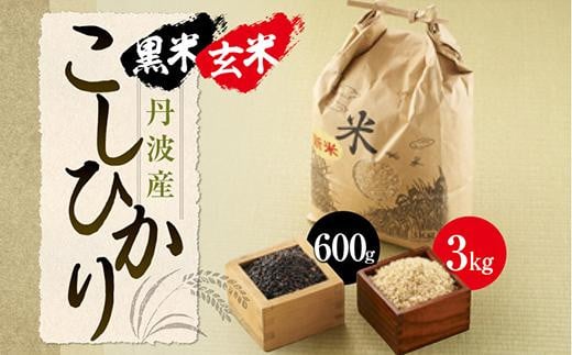 
【玄米】丹波産こしひかり玄米《令和6年度産》3kg　黒米300g×2
