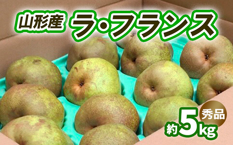 
                  ラ・フランス 約5kg 秀品 (10～16玉) 3L～6L [11月発送]【令和8年産先行予約】FS25-742
                
