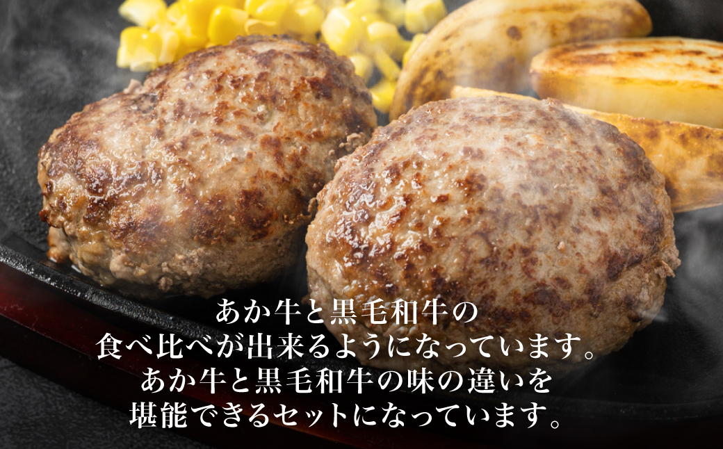 食べ比べハンバーグセット（あか牛ハンバーグ＆黒毛和牛ハンバーグ）_イメージ3