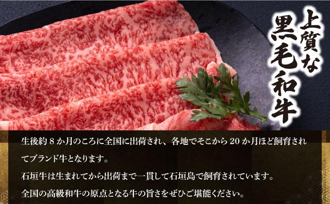 石垣牛×アグー豚（南ぬ豚）石垣島満喫ハンバーグセット（各6個 計12個） | ハンバーグ 牛肉 セット 和牛 黒毛和牛 石垣牛 豚肉 あぐー豚 アグー豚 沖縄県 石垣島