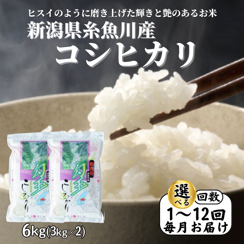 【ふるさと納税】 米 選べる回数 定期便【令和7年産】【令和8年1月以降出荷予定】新潟県産 コシヒカリ 6kg(1回～12回) 糸魚川産 こしりかり『勾玉米』ヒスイのように磨き上げた輝きと艶のある米 精米したてをお届け おにぎり こしひかり 米6kg おすすめ 人気 木島米穀店