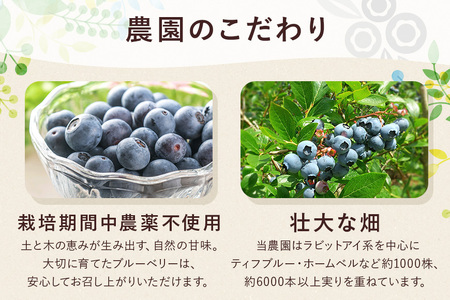 【 2026年 先行予約 】元気に育った ブルーベリー 1kg 冷凍 ( 500g 4パック ) 農薬 栽培期間中 不使用 果物 フルーツ 1キロ 手摘み 急速冷凍 国産 産地直送 農家直送 産直 夏