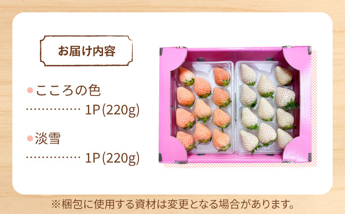 【R8年2月以降発送】淡雪・こころの色 白いちごプレミアム 計440g（220g×2パック） 【岸川農園】 [IAP045]