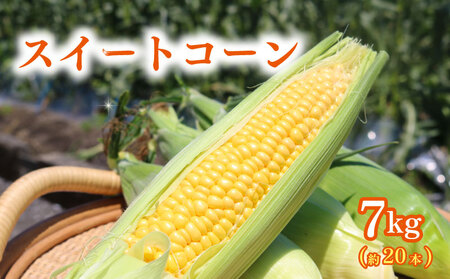 訳あり スイートコーン (ゴールドラッシュ) 7㎏（約20本） | 2025年発送 6月 高知県スイートコーン とうもろこし スイート コーン コーン