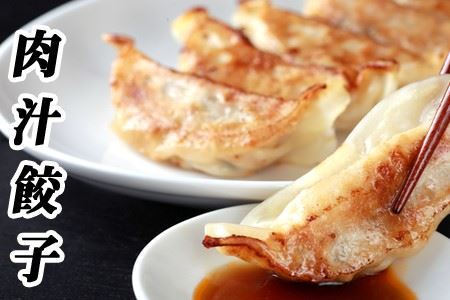 [12月21日決済分まで年内配送]餃子25個×4P C-76025