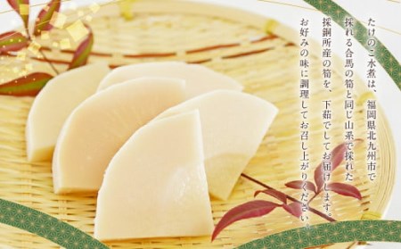 たけのこ水煮（800g×2）たけのこ土佐煮（150g×2）詰め合わせセット