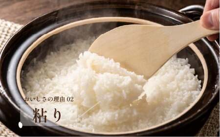 【先行予約】令和7年産 夢しずく 10kg ／米 お米 返礼品 飯 ごはん 弁当 銘柄米 白米 県産米 佐賀県産 国産米 精米 ブランド米 おにぎり 国産 食品 人気 おすすめ ふるさと納税米 精白米