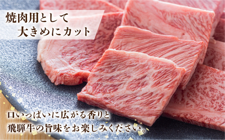 飛騨牛 焼肉 霜降り700g  焼肉 牛肉 S427