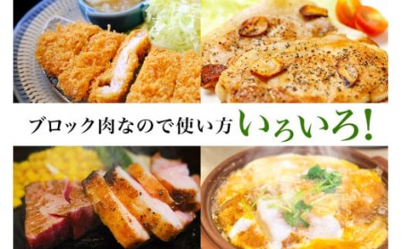 ブランド豚「ばんぶぅ」ロースブロック1本 ばんぶぅ 豚肉 ロース ブロック肉 しゃぶしゃぶ 焼き肉 真空パック しゃぶしゃぶ肉 焼肉用 ブタ肉 国産 茨城県産 ギフト プレゼント 冷蔵 高級部位 ブラ