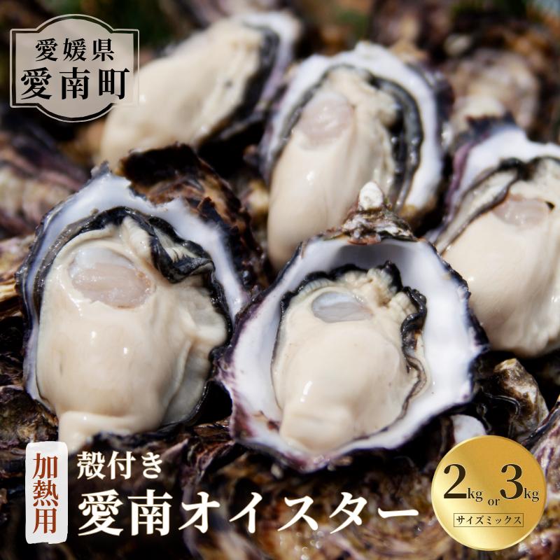 
            【選べる内容量】愛南 オイスター 2kg 3kg 先行予約 2025年 7月以降発送 牡蠣 加熱用 殻付き 三倍体 真牡蠣 ブランド 特産品 お取り寄せ グルメ 大粒 濃厚 クリーミー おいしい 新鮮 ご褒美 かき パスタ アヒージョ まがき 夏 産地 直送 愛南漁業協同組合 御荘支所 愛媛県 愛南町
          