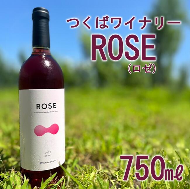 【ふるさと納税】2022 つくばワイナリー ROSE | お酒 葡萄 ぶどう ブドウ 茨城県 つくば市 ワイナリー ワイン ロゼ ロゼワイン