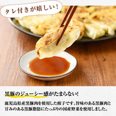 ふるさと納税 いちき串木野市 鹿児島黒豚生餃子 合計144個(12個×12P)タレ付き!国産野菜使用【60日以内配送】 |  | 02