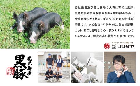 【鹿児島県産】厳選黒豚 便利な3種1.5kg（ロース、モモ、ミンチ）