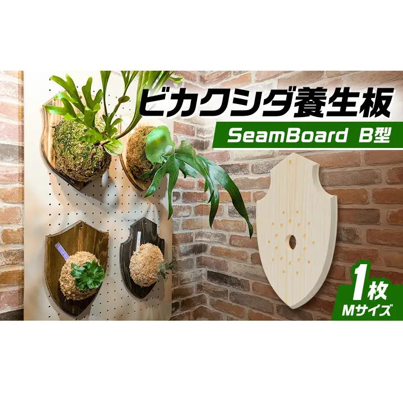ビカクシダ板 SeamBoard B型 コウモリラン 壁掛け ビカクシダ板【Mサイズ】【送料無料】