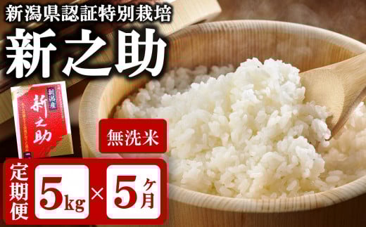 新米先行予約【令和8年産米・5ヶ月定期便】真空パック 特別栽培米 新之助 無洗米 5kg×5回（計 25kg） 山波農場 お米 新潟県産 [Y0053]