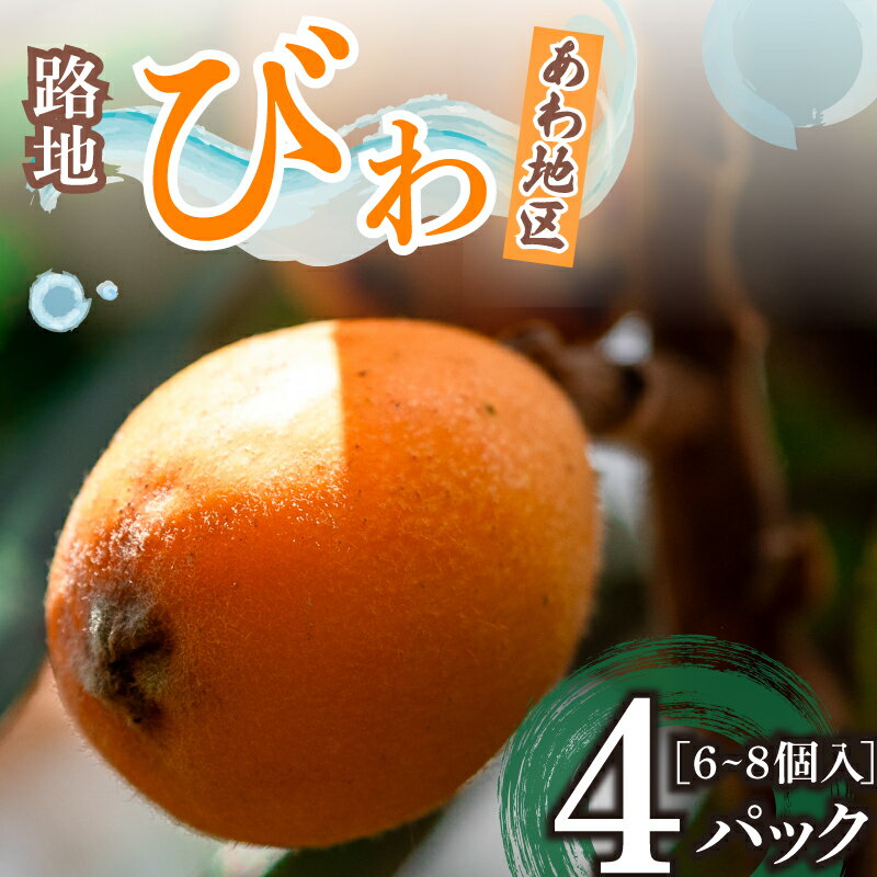 【ふるさと納税】【 早期予約受付 5月中旬頃より順次発送 】びわ フルーツ 果物 おすすめ 6 ~8個 4 パック 旬 果実 ギフト 須崎市 枇杷 ビワ 期間限定 季節 高知 高知県 安和