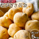 【ふるさと納税】【期間限定発送】 じゃがいも ながさき黄金 5kg ( 秋じゃがいも ) [南串ながさき黄金生産組合 長崎県 雲仙市 item1355] ジャガイモ 秋ジャガイモ 野菜 5キロ 期間限定