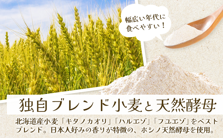 トモヱベーグル 「プレーンベーグル 巴（ともえ）」１０個セット【330006】