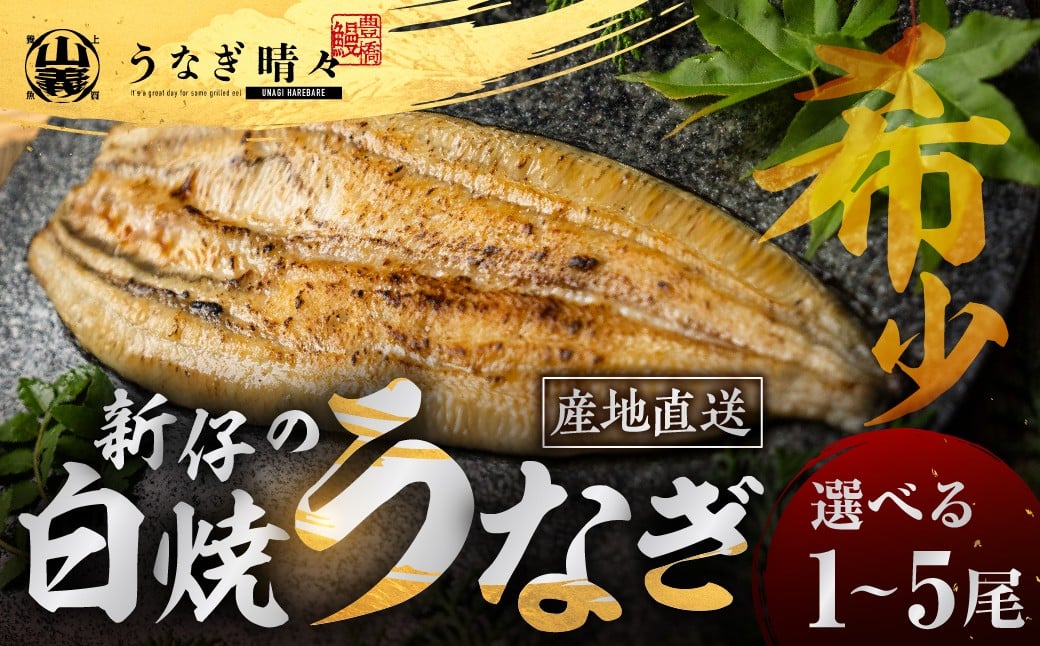
            山義養魚の『うなぎ晴々』 白焼 選べる1～5尾 希少 豊橋うなぎ 厳選 国産 新仔うなぎ 若うなぎ 鰻 簡易包装 ウナギ 鰻 ギフト 土用丑の日 ギフト 冷凍 お取り寄せ 送料無料 日本酒と わさび 山椒 塩 大人 贅沢
          