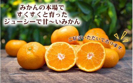 タカじいの 有田 みかん 3kg （良品 サイズおまかせ2S～2L） / 温州みかん 有田みかん 甘い 家庭用 和歌山 柑橘 ※11月順次発送【krs004-c-3-11A】