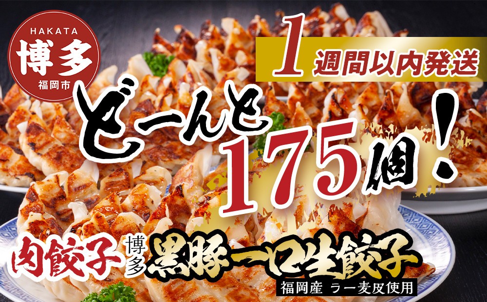 
                  【1週間以内に発送】【175個!!】【福岡ブランド】博多黒豚一口生餃子 7パック小分　福岡県産ラー麦皮使用　創業40年以上福岡会社製造　
                