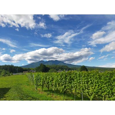 ふるさと納税 北杜市 Passerelle Blanc(パスレル ブラン) 2024 |  | 02