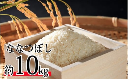 
            令和6年度米 ななつぼし約10kg 北海道 今金米 米 白米 米俵 こめ おこめ F21W-403 クラウドファンディング 実施中 GCF
          