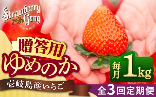 【先行予約】【贈答用】【全3回定期便】ゆめのか 約250g×4パック【2027年1月以降順次発送】《壱岐市》【Strawberry Gang】 [JEM002] いちご イチゴ 苺 定期便 果物 フルーツ スムージー