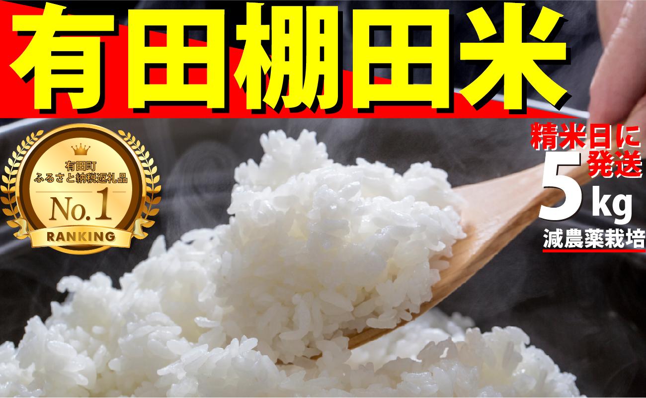 
            ＜予約受付＞【10月下旬より順次発送】【数量限定】令和7年産 有田 棚田米 5kg 米【みゆきファーム】精米済 白米 5kg 減農薬 organic 棚田米 有田町 令和7年度産 新米 K14-12
          