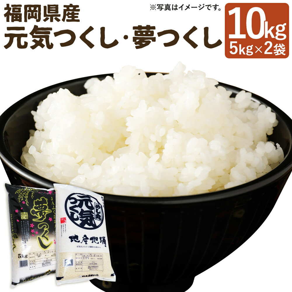 【ふるさと納税】令和7年産 元気つくし・夢つくしセット 合計10kg 5kg×2袋 食べ比べ セット 2種類 お米 米 精米 白米 福岡県産 九州産 送料無料