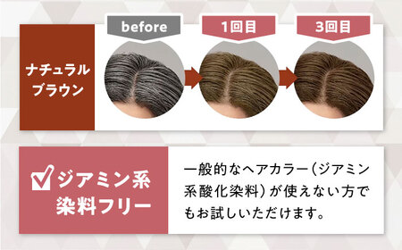 シエロ カラートリートメント 全体用 ナチュラルブラウン 3個 / CIELO 白髪染め セルフカラー ヘアケア / 瀬戸市 / ホーユー株式会社 [BBEL006]