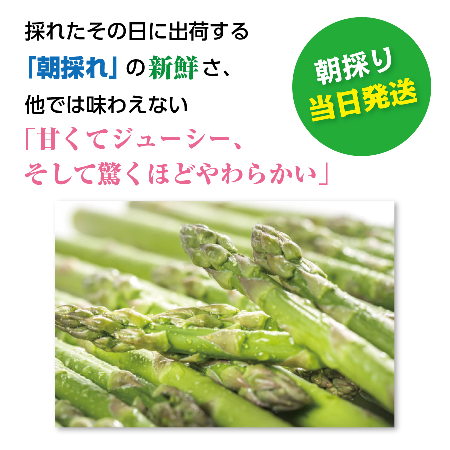 【2026年春発送】北海道上ノ国町産 寅福菜園の春アスパラ　2L（800g）北海道産　朝採れ　農家町送　グリーンアスパラ　春野菜　アスパラ　甘い　特産品