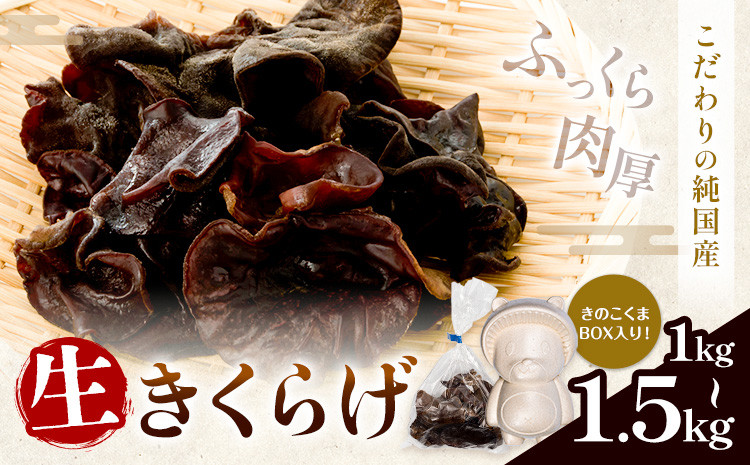 
                  生きくらげ 1kg 1.5kg 鷹乃産業有限会社 《30日以内に出荷予定(土日祝除く)》熊本県 球磨郡 山江村 きくらげ きのこ 野菜
                