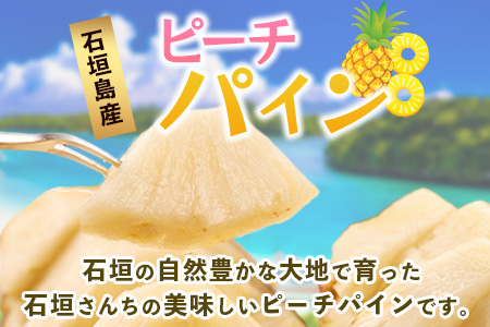 【先行予約】《2025年5月上旬頃より順次発送》石垣島産 ピーチパイン (4玉 約3㎏) 【 産地直送 沖縄 石垣 パイナップル フルーツ 】石垣さんちの石垣トロピカルファーム TP-11