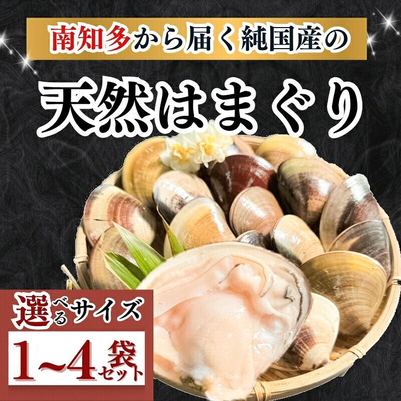 【ふるさと納税】 サイズ 容量 選べる 希少 天然 はまぐり 1袋500g入り ( 1kg 2kg 新鮮 大粒 天然はまぐり 蛤 ハマグリ ふるさと納税はまぐり 人気 おすすめ 愛知県 南知多町 )