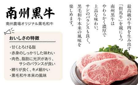 1394 南州農場 黒豚焼豚詰合せ（化学調味料不使用）＜NN-3129＞ KN005-002 チャーシュー 豚肉 加工品 鹿児島黒豚 黒豚 ふるさと納税 鹿児島 鹿屋市 おすすめ ランキング プレゼン