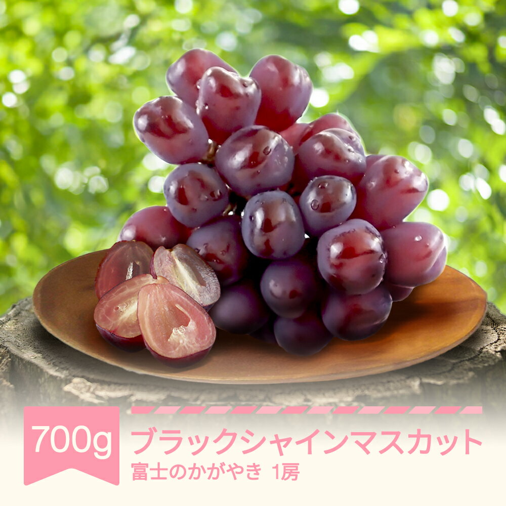 【ふるさと納税】先行予約 ぶどう ブドウ ブラックシャインマスカット 富士のかがやき 約700g 1房 2025年産 令和7年産 山形県産 送料無料※沖縄・離島への配送不可
