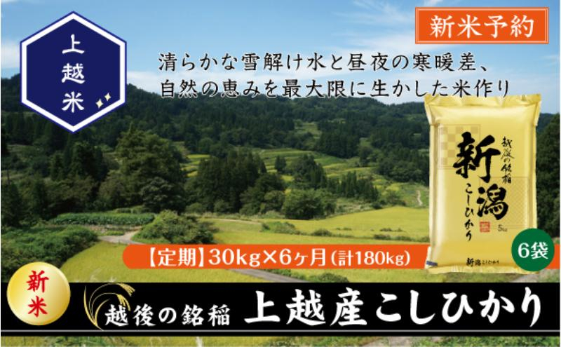 
            令和7年産 新潟県上越産こしひかり 精米 30kg 6か月定期便 上越市 米 コメ コシヒカリ
          