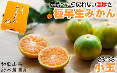 ゆら早生みかん 又は YN26(小粒3kg２S～３Sサイズ) 【2025年10月中旬より順次発送】鈴木農園より農園直送 ゆら早生みかん ２S 小粒サイズ ゆら早生みかん ２S 小粒サイズ ゆら早生みかん ２S 小粒サイズ ゆら早生みかん ２S 小粒サイズ