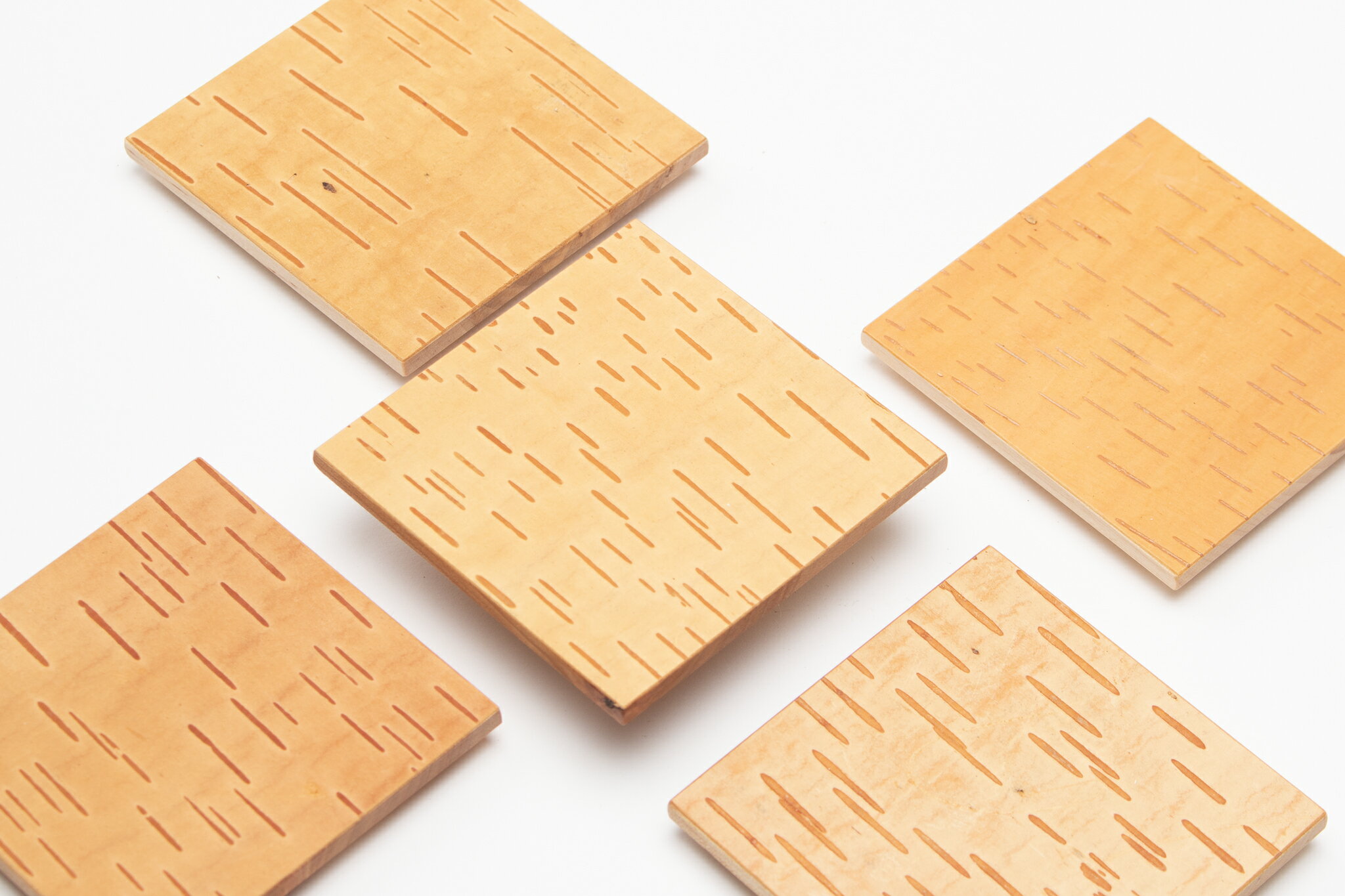 【ふるさと納税】【木と暮らしの工房】シラカバ樹皮コースター（5枚組）