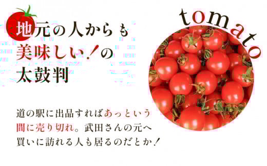 武田さんのミニトマト 3kg 200g × 15パック 《7月中旬‐8月末頃出荷予定》武田賢一 徳島県 美馬市 ミニトマト 送料無料 野菜 とまと トマト 青果物
