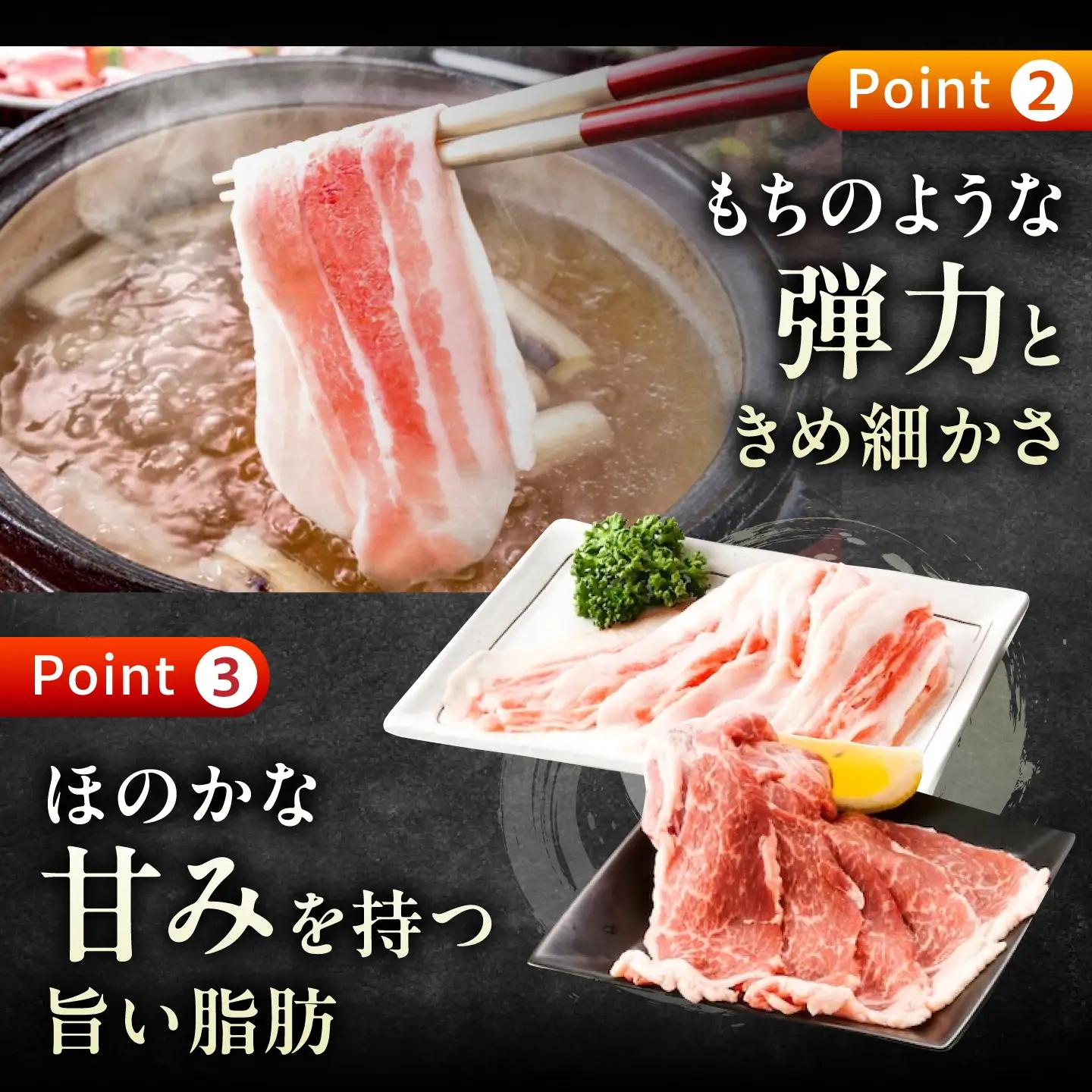 【全12回定期便】バラエティセット約1，200g (肩ロース・バラ・小間切れ・豚トロ 各300g)  [BAER081]豚肉