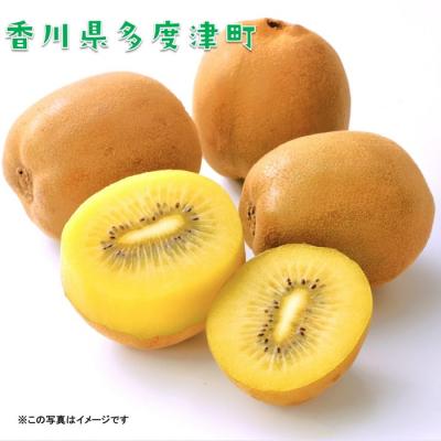 ふるさと納税 多度津町 香川県オリジナルキウイフルーツ『さぬきゴールド』大玉約3.5kg【C-16】 |  | 02