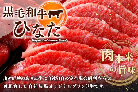 ブランド牛「黒毛和牛ひなた」肩ローススライス500g【C203】