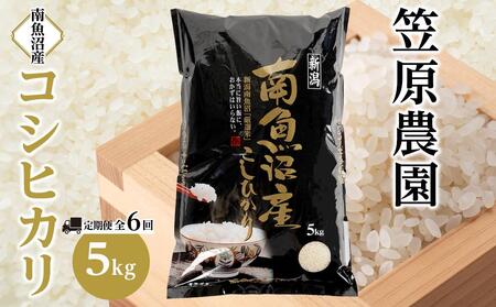【定期便】【令和6年産】南魚沼産コシヒカリ【５kg×全６回】【米 お米 こしひかり 南魚沼 米 白米 こめ 新潟 米 】